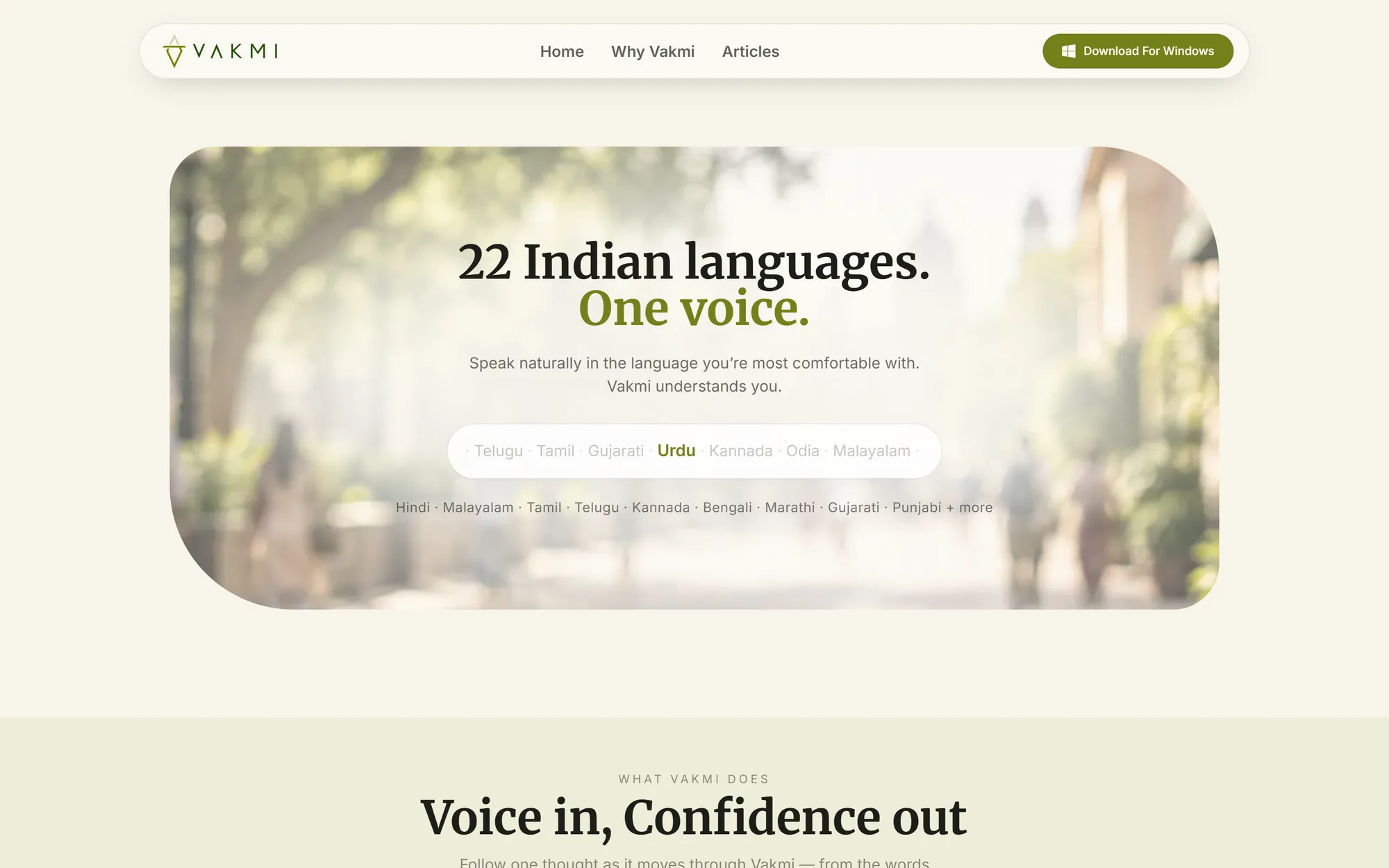 Language selector over a softly blurred photo